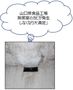 ���q�l�̐�